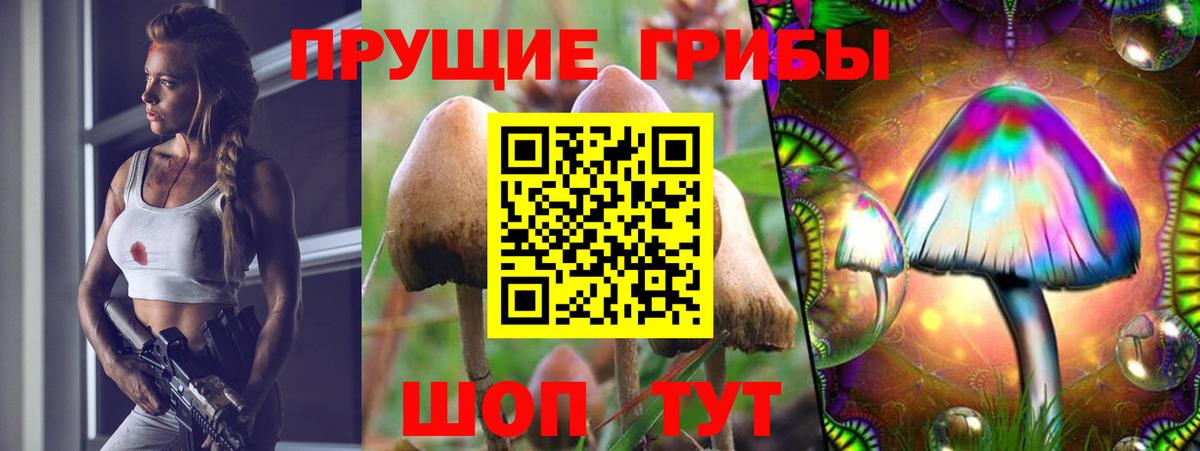 Галлюциногенные грибы Psilocybine cubensis  Псилоцибиновые грибы Cubensis  Реутов  Вход с VPN 